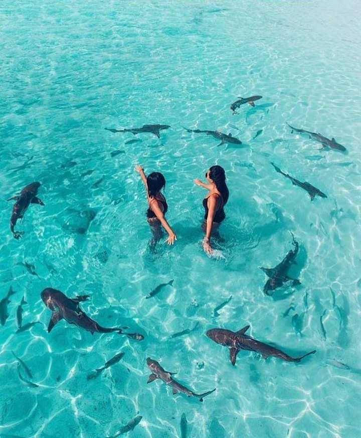 Pulau Wayag (instagram.com/jejak.piknik)