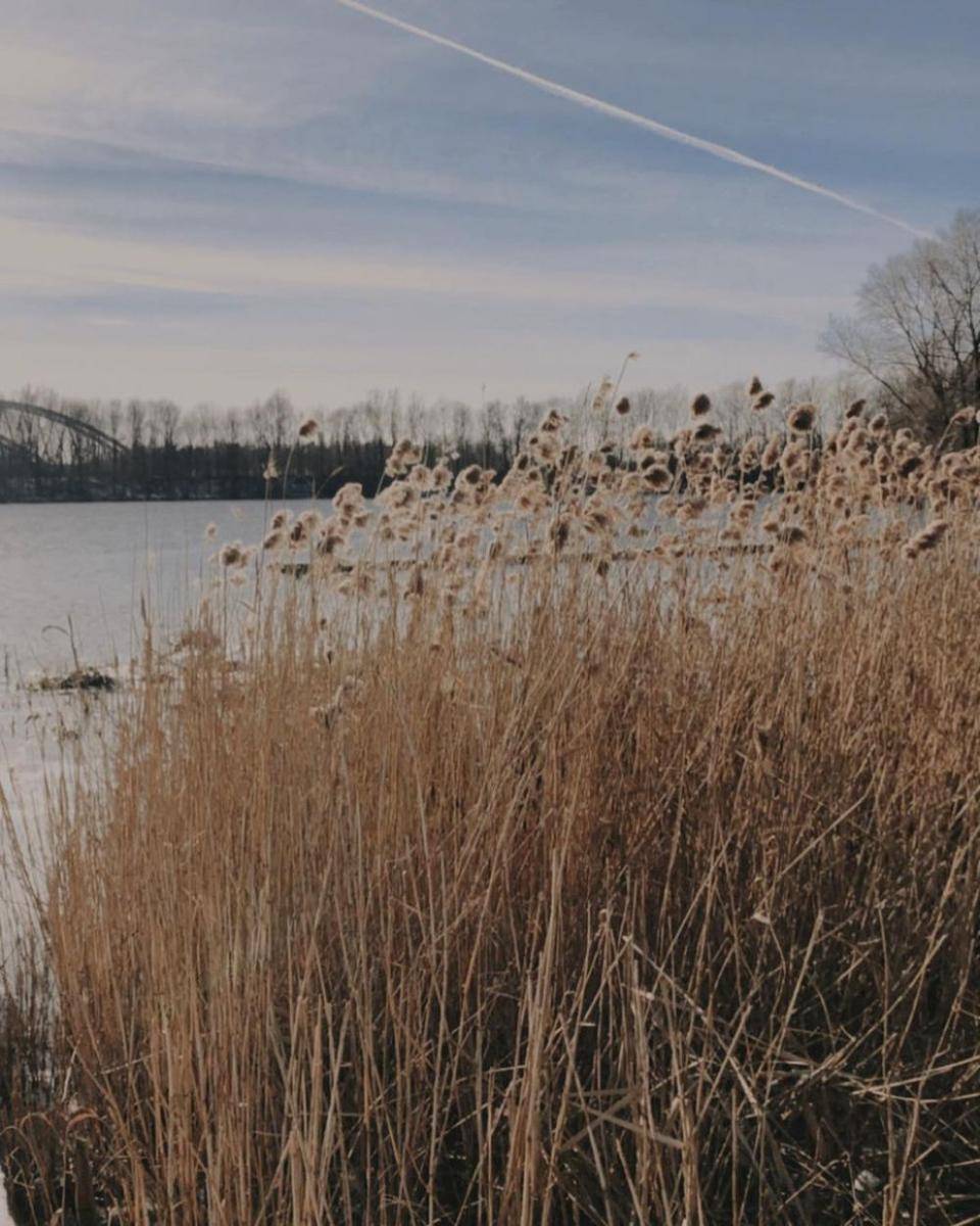 potret Blaarmeersen Lake (instagram.com/george.righini)