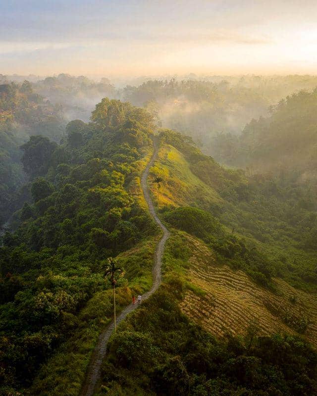 Campuhan Ridge Walk (instagram.com/360bali)