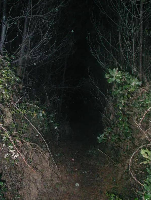 potret nyctohylophobia (buzzfeed.com)