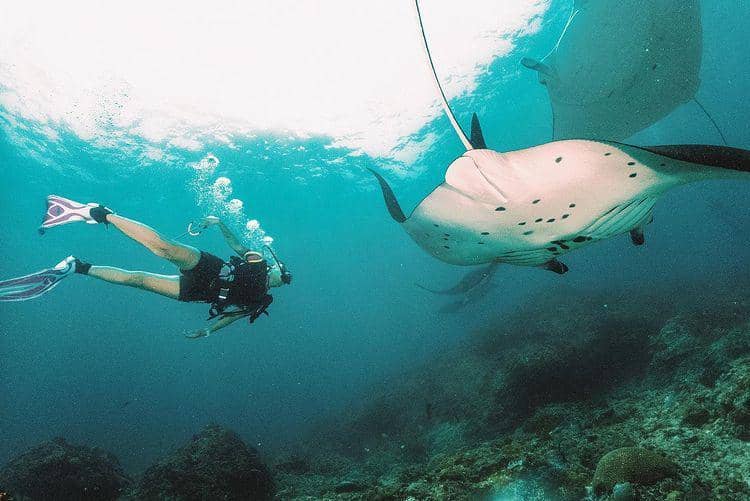 potret Awkarin menyelam (instagram.com/awkarin)