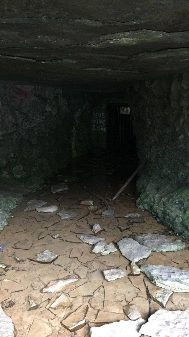 potret nyctohylophobia (reddit.com/its_average)