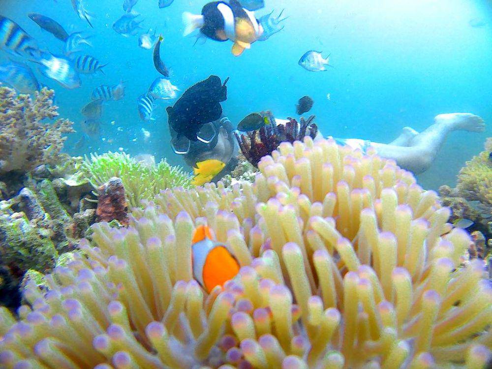 Bangsring Underwater (instagram.com/nicokim99)