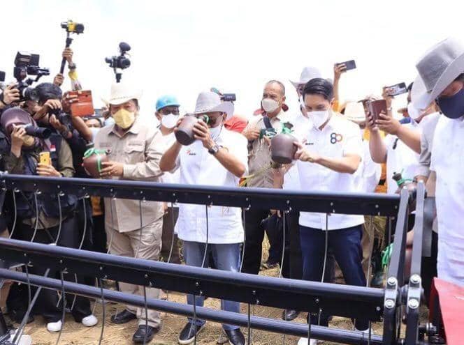 Menteri Koordinator Bidang Perekononian RI Airlangga Hartarto dan Gubernur Lampung Arinal Djunaidi memanen perdana padi gogo. (IDN Times/Istimewa)