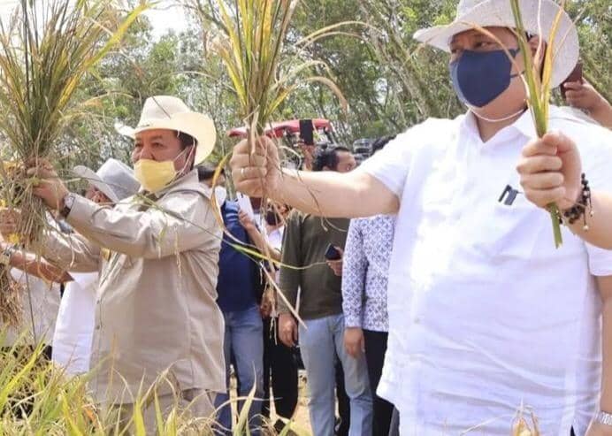 Lampung Panen Padi Gogo Perdana dan Peringkat 5 Produsen Padi Nasional