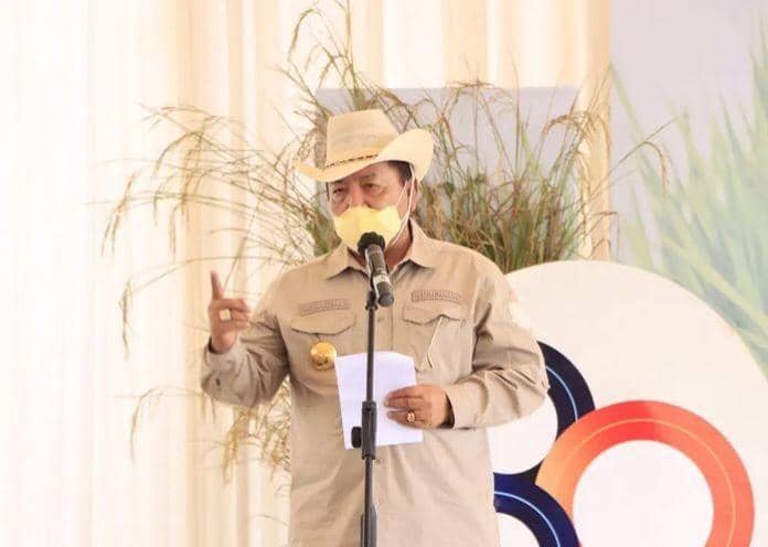 Menteri Koordinator Bidang Perekononian RI Airlangga Hartarto dan Gubernur Lampung Arinal Djunaidi memanen perdana padi gogo. (IDN Times/Istimewa)