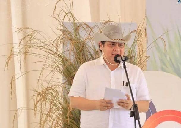 Menteri Koordinator Bidang Perekononian RI Airlangga Hartarto dan Gubernur Lampung Arinal Djunaidi memanen perdana padi gogo. (IDN Times/Istimewa)