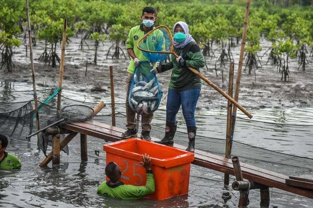 Pembagian hasil panen ikan bandeng oleh Pemkot Surabaya kepada warga MBR. (dok. Humas Pemkot Surabaya)