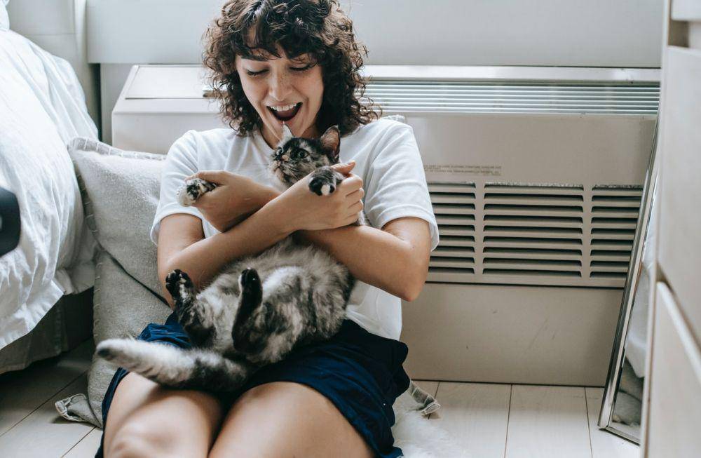 ilustrasi seseorang sedang memeluk kucingnya (pexels.com/Sam Lion)