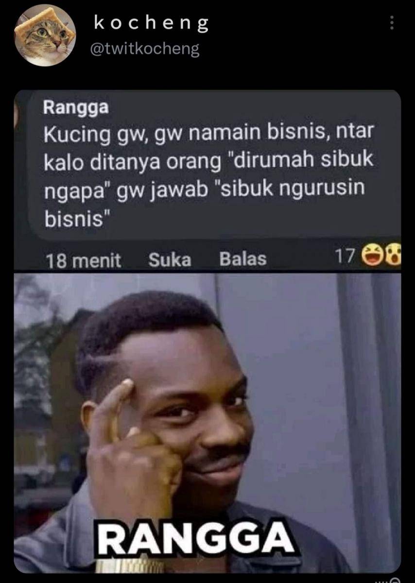 Nama panggilan kucing anti mainstream (twitter.com/twitkocheng)
