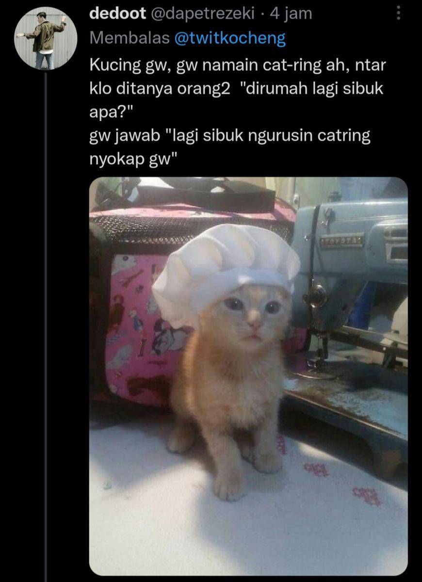 Nama panggilan kucing anti mainstream (twitter.com/dapetrezeki)