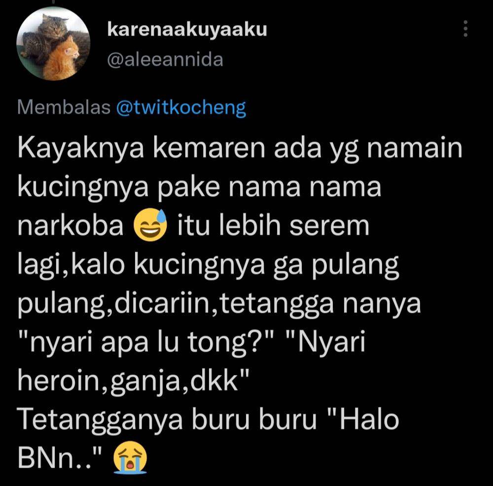 Nama panggilan kucing anti mainstream (twitter.com/aleeannida)