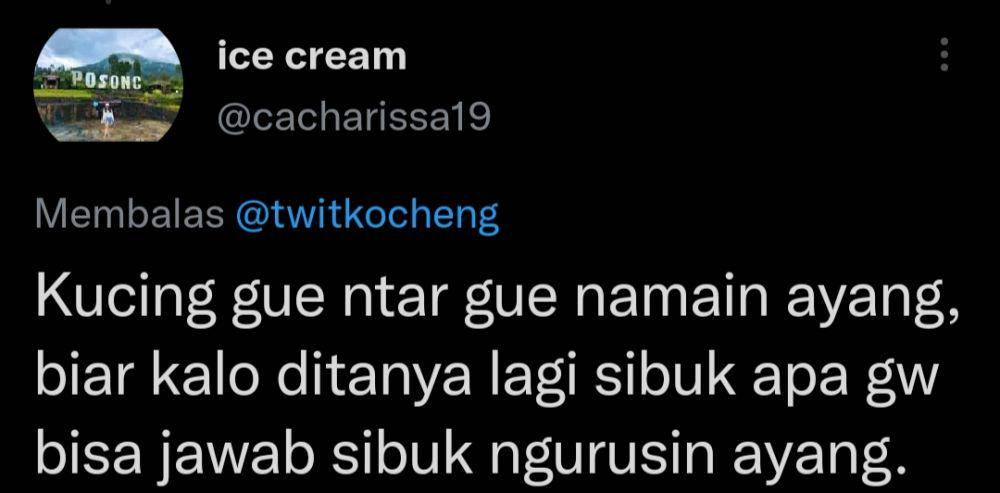 Nama panggilan kucing anti mainstream (twitter.com/cacharissa19)