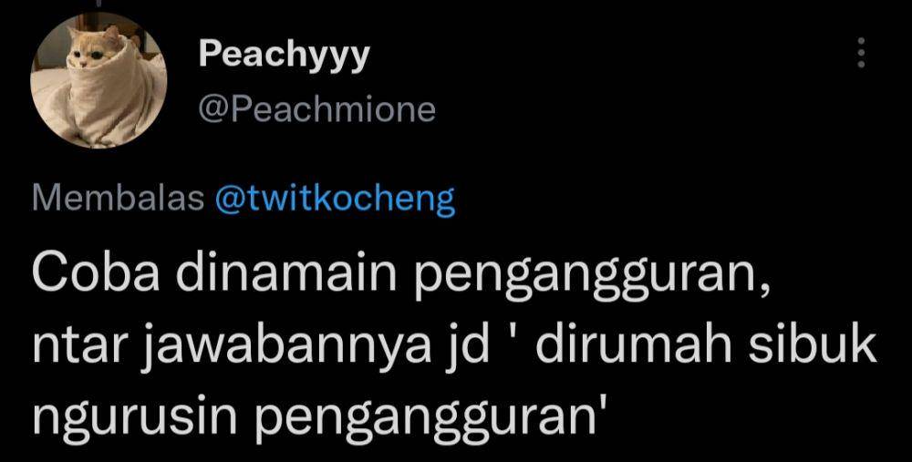 Nama panggilan kucing anti mainstream (twitter.com/Peachmione)