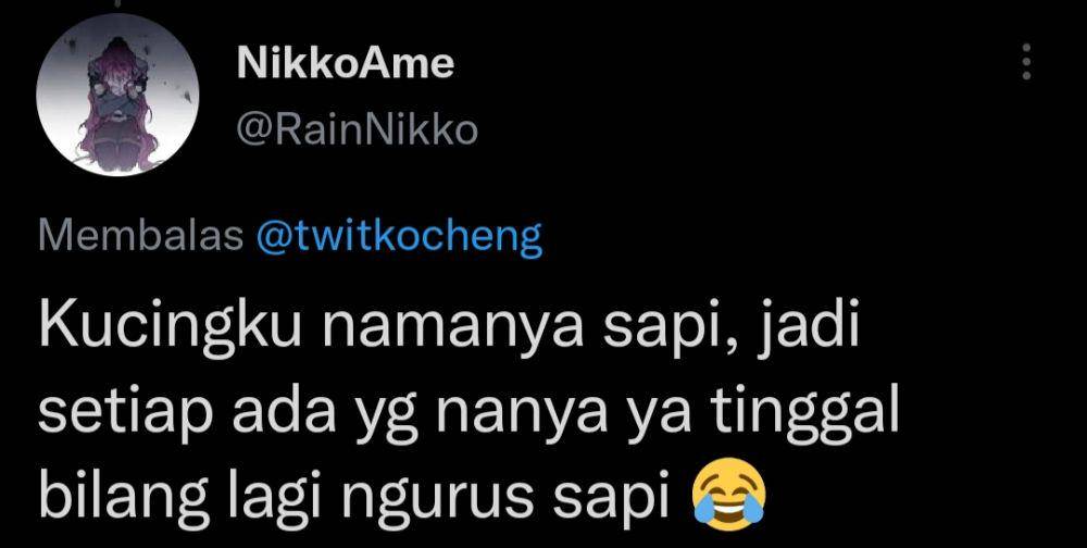 Nama panggilan kucing anti mainstream (twitter.com/RainNikko)