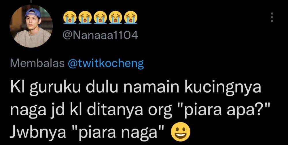 Nama panggilan kucing anti mainstream (twitter.com/Nanaaa1104)