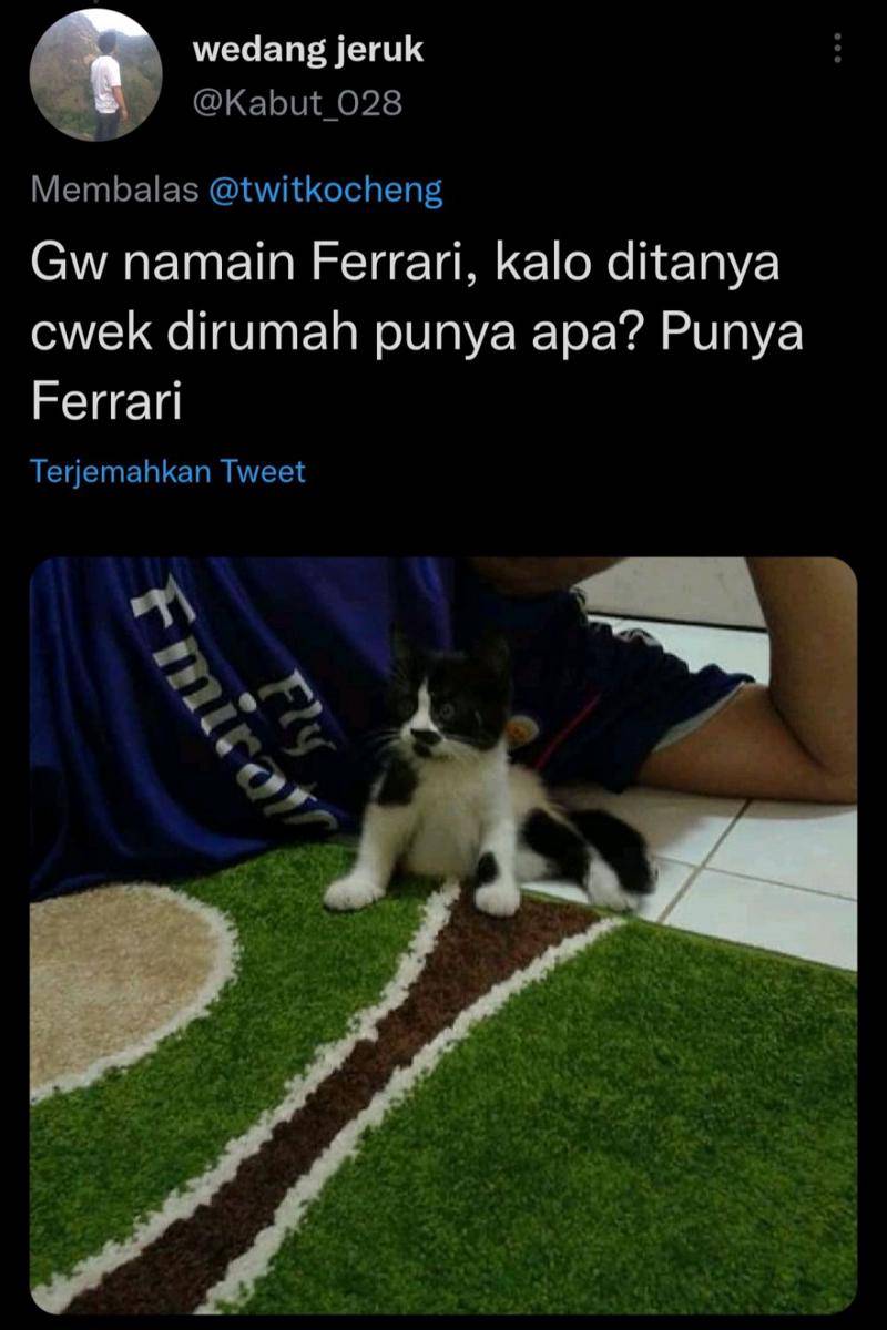 Nama panggilan kucing anti mainstream (twitter.com/Kabut_028)
