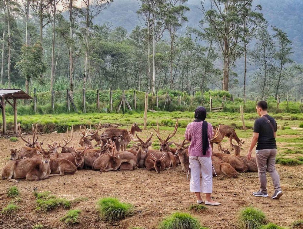 10 Destinasi Wisata Romantis di Bandung Terbaru 2025