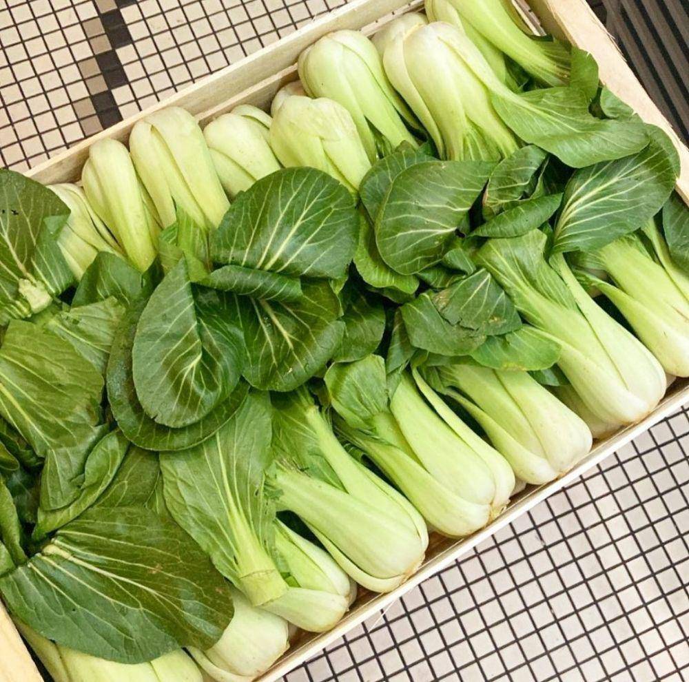 potret sawi daging (instagram.com/territoryfoods/)