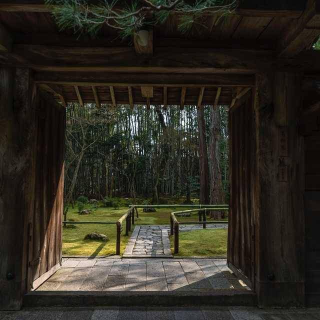 ilustrasi elemen bambu pada zen garden (unsplash.com/David Emrich)