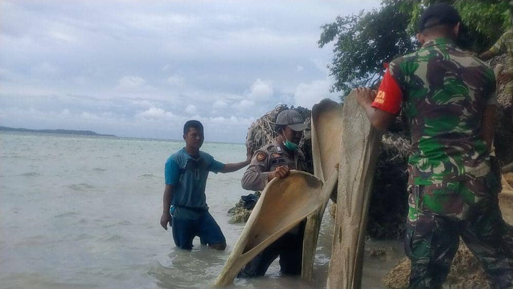 Heboh Warga Temukan Tulang Ikan Raksasa di Pinggir Pantai Selayar