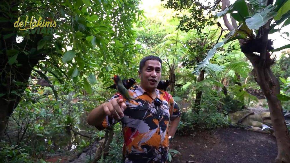 aviary Irfan Hakim (youtube/DeHakims Aviary)