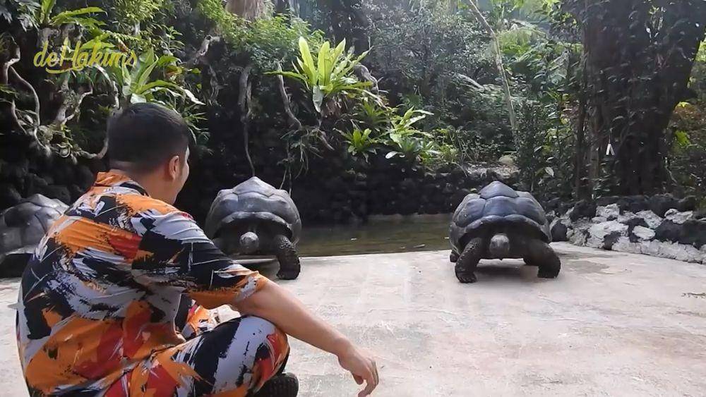 aviary Irfan Hakim (youtube/DeHakims Aviary)