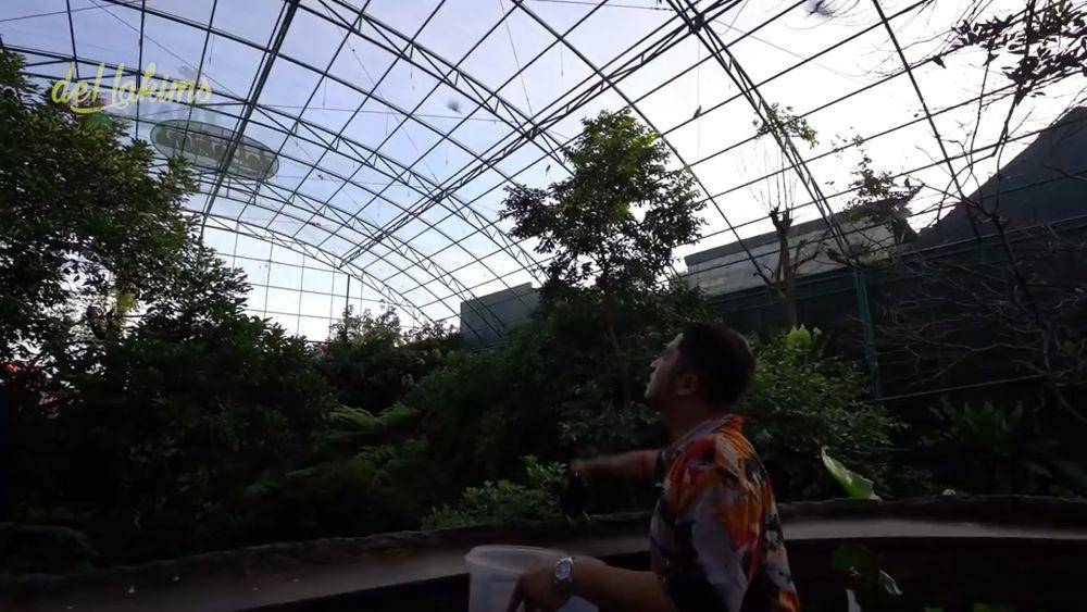 aviary Irfan Hakim (youtube/DeHakims Aviary)