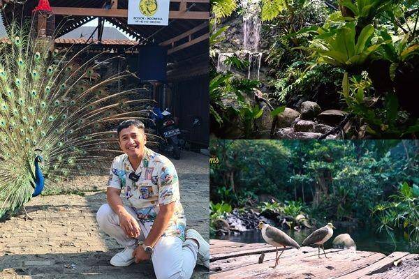 aviary Irfan Hakim (instagram.com/irfanhakim75 | youtube/DeHakims Aviary)