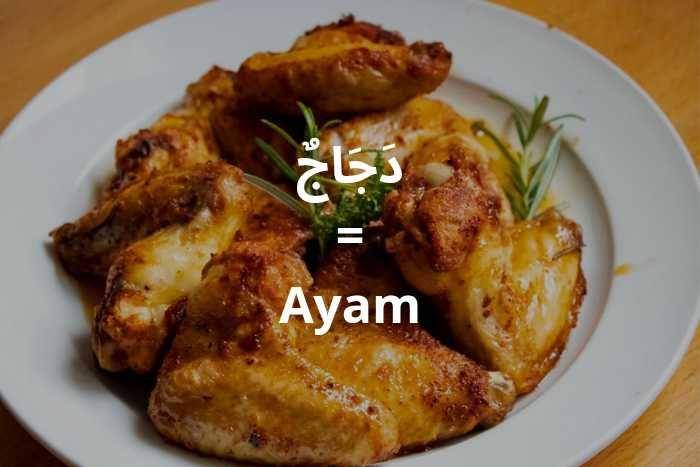 ilustrasi ayam dalam bahasa Arab (pexels.com/Harry Dona)