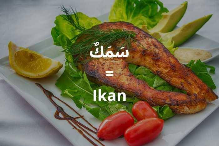 ilustrasi ikan dalam bahasa Arab (pexels.com/Dana Tentis)