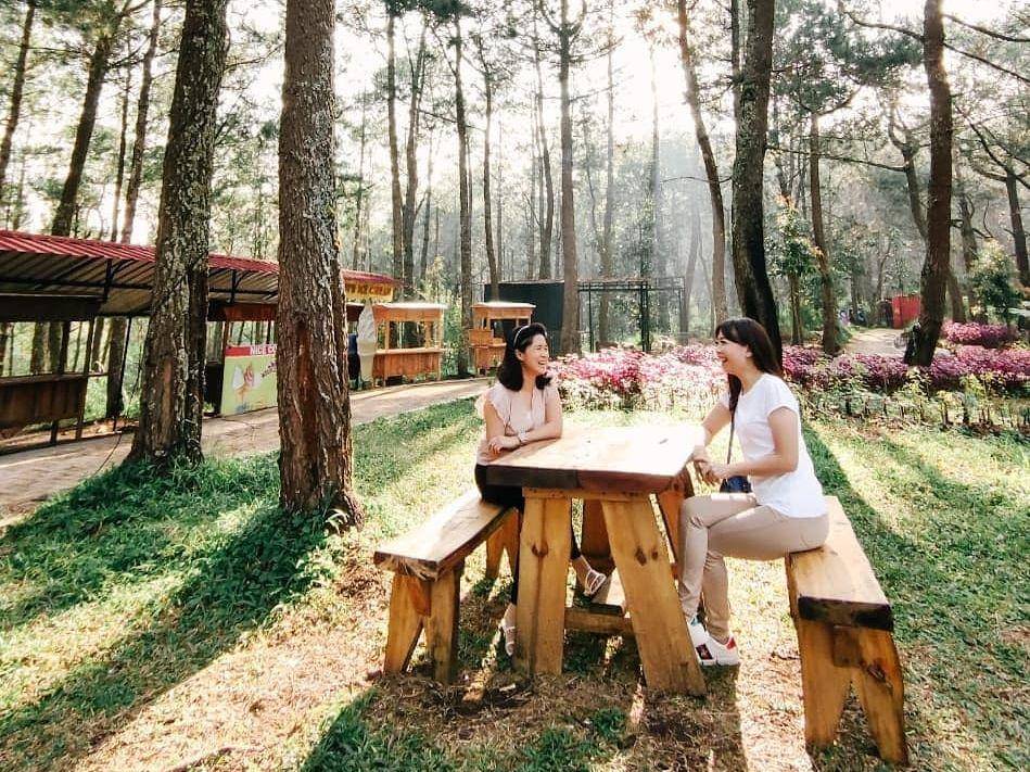 Fasilitas yang ada di Mojosemi Forest and Dinosaurus Park, Magetan. (instagram.com/esti_haryono)