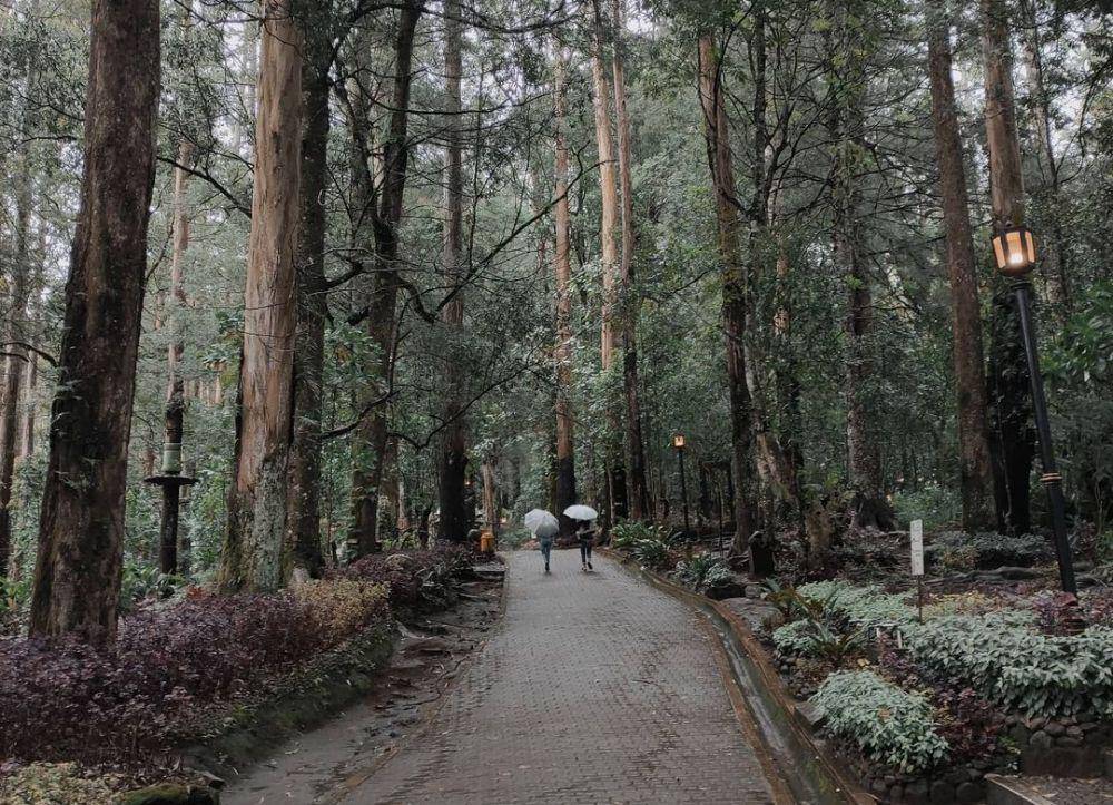 Suasana liburan di Mojosemi Forest and Dinosaurus Park. (instagram.com/ware_feo507canary)