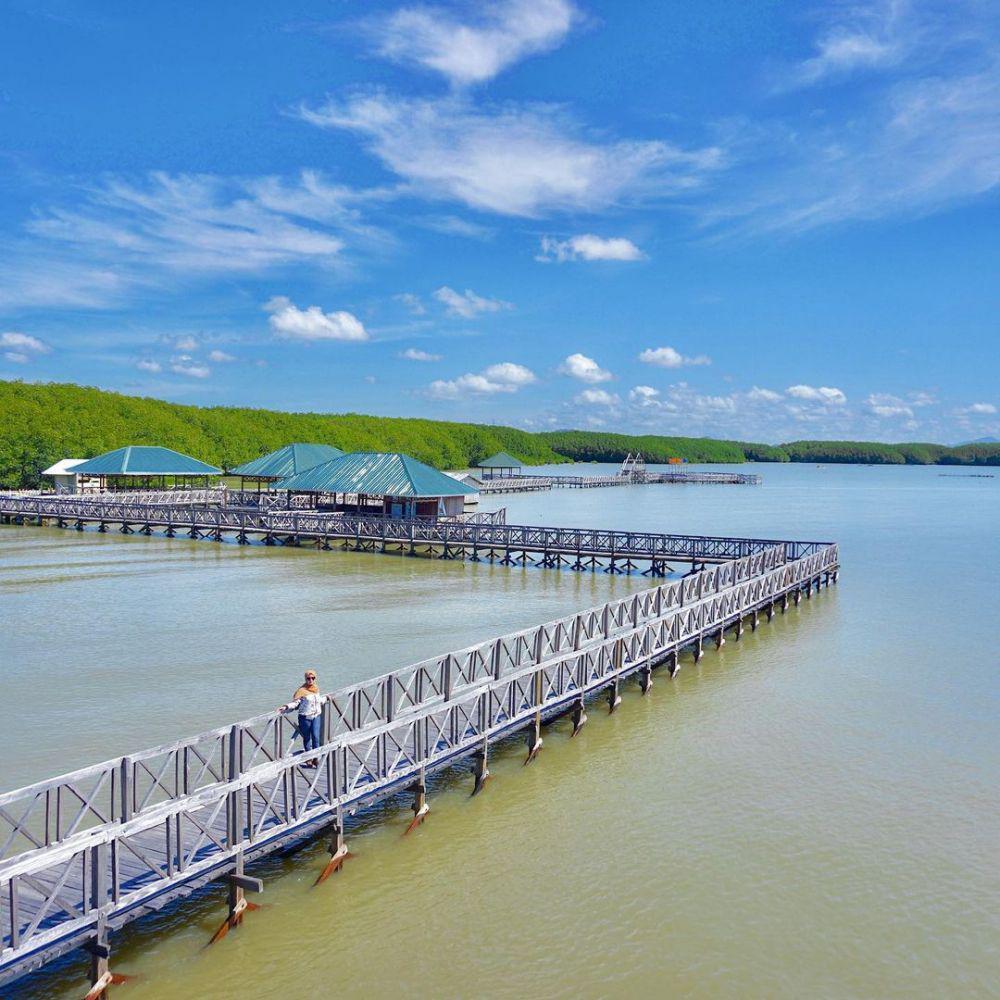 9 Pesona Hutan Mangrove Tongke-Tongke, Destinasi Andalan di Sinjai