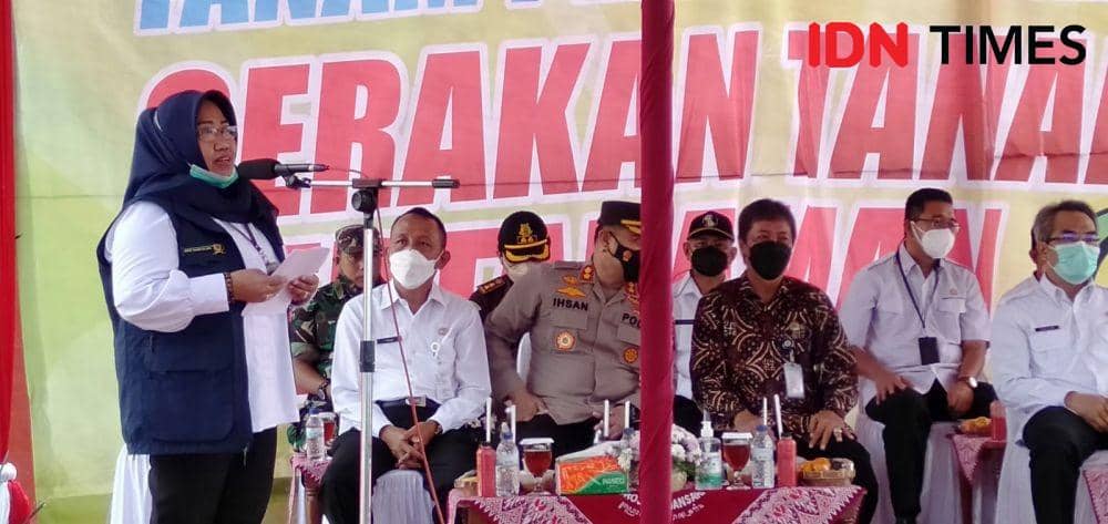 Kepala Balai Besar Peramalan Organisme Pengganggu Tumbuhan (OPT) Direktotar Jenderal Tanaman Pangan Kementerian Pertanian RI, Enie Tauruslina Amarullah. (IDN Times/Daruwaskita)