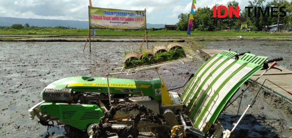Lahan pertanian yang akan digunakan untuk IP400 di Kabupaten Bantul.(IDN Times/Daruwaskita)