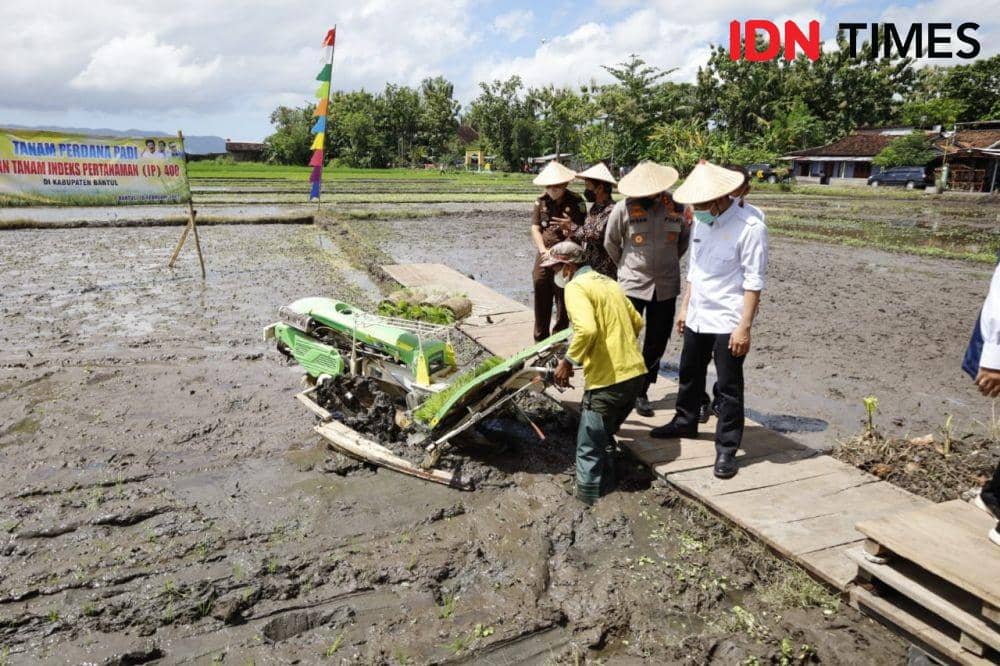 Kementan Tanam Perdana Bibit Padi Program IP400 di Bantul