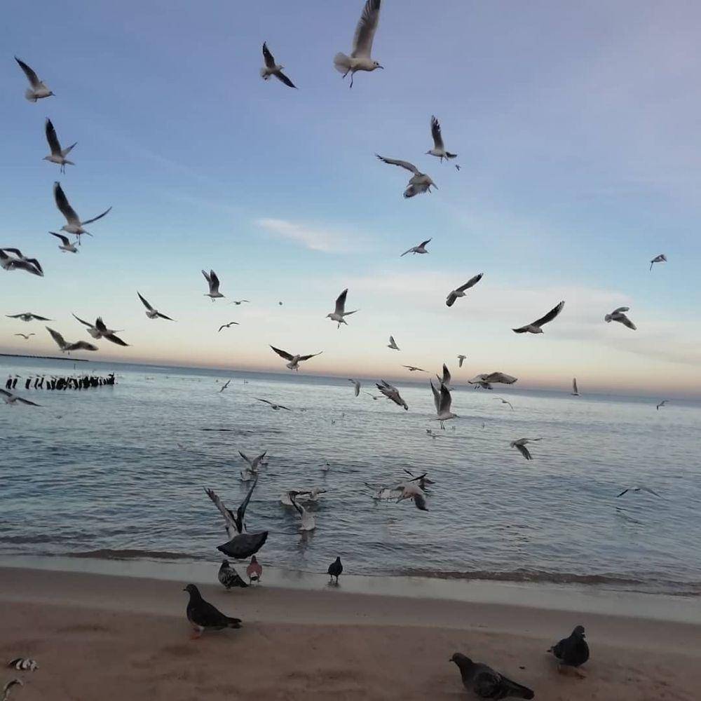 potret Pionerski Beach (instagram.com/nadia_denisova_s)