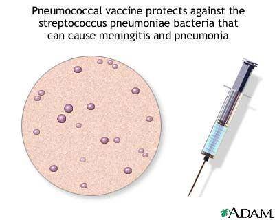 ilustrasi vaksin pneumococcus (Medineplus.gov)