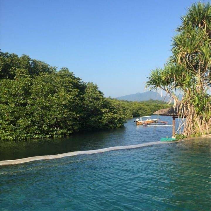 potret hutan mangrove di Taman Nasional Bali Barat (instagram.com/where2stay.id)