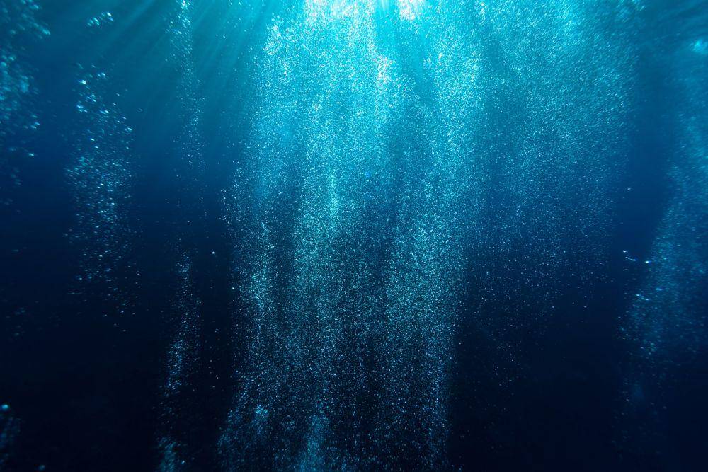 ilustrasi tekanan bawah laut di zona mesopelagik (unsplash.com/Sarah Lee)