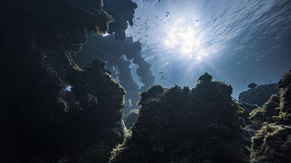 5 Tingkatan Tekanan di Bawah Laut, Makin Dalam Makin Bahaya