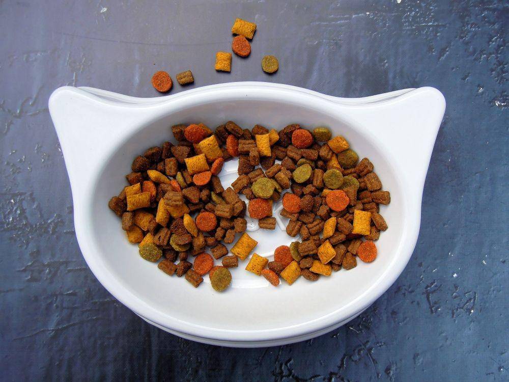 ilustrasi dry food kucing (pixabay.com/Crepessuzette)
