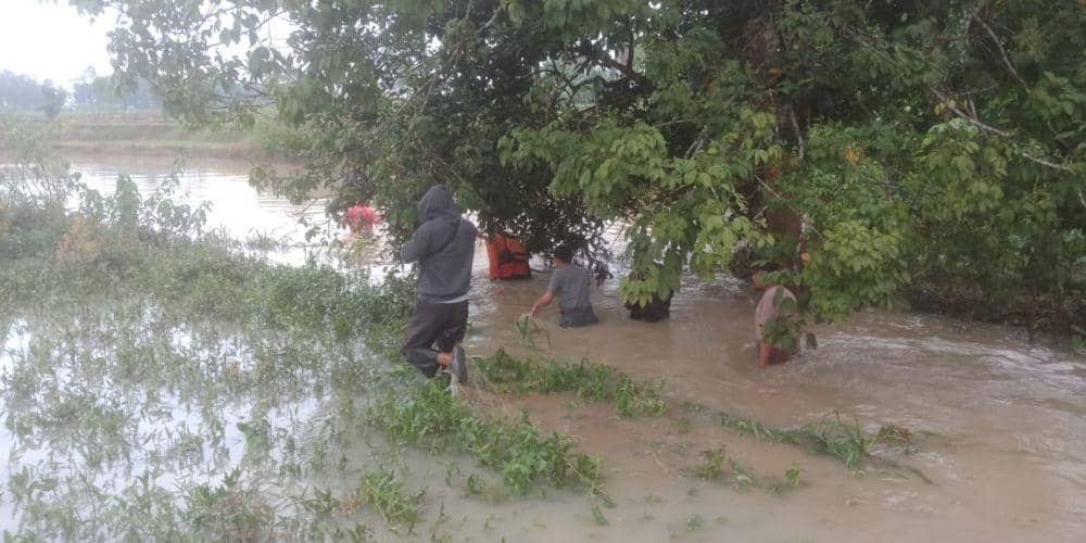 Seorang bocah berusia 10 tahun ditemukan meninggal dunia setelah hanyut di saluran Irigasi Dusun 3 Desa Parayangan, Kecamatan Punggur, Lampung Tengah. (IDN Times/Istimewa)