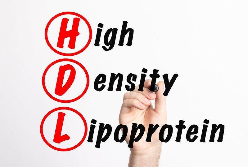 5 Fakta High-Density Lipoprotein (HDL), Lemak Baik bagi Tubuh