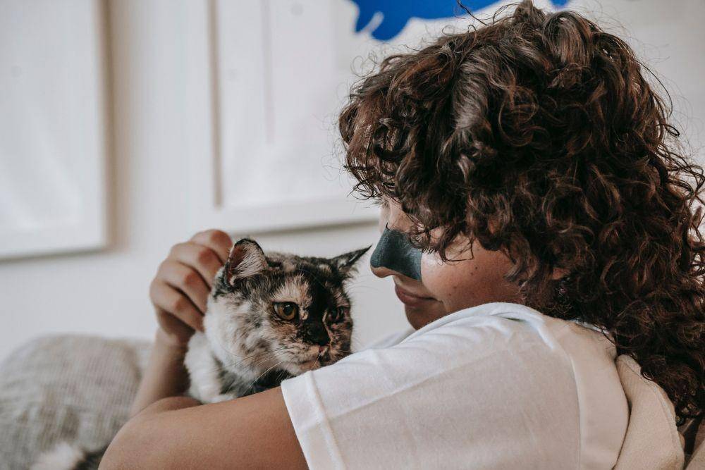 ilustrasi kucing dan pemiliknya (pexels.com/Sam Lion)