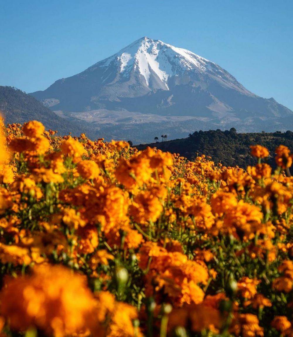 potret Gunung Pico De Orizaba (instagram.com/chancetochallenge)