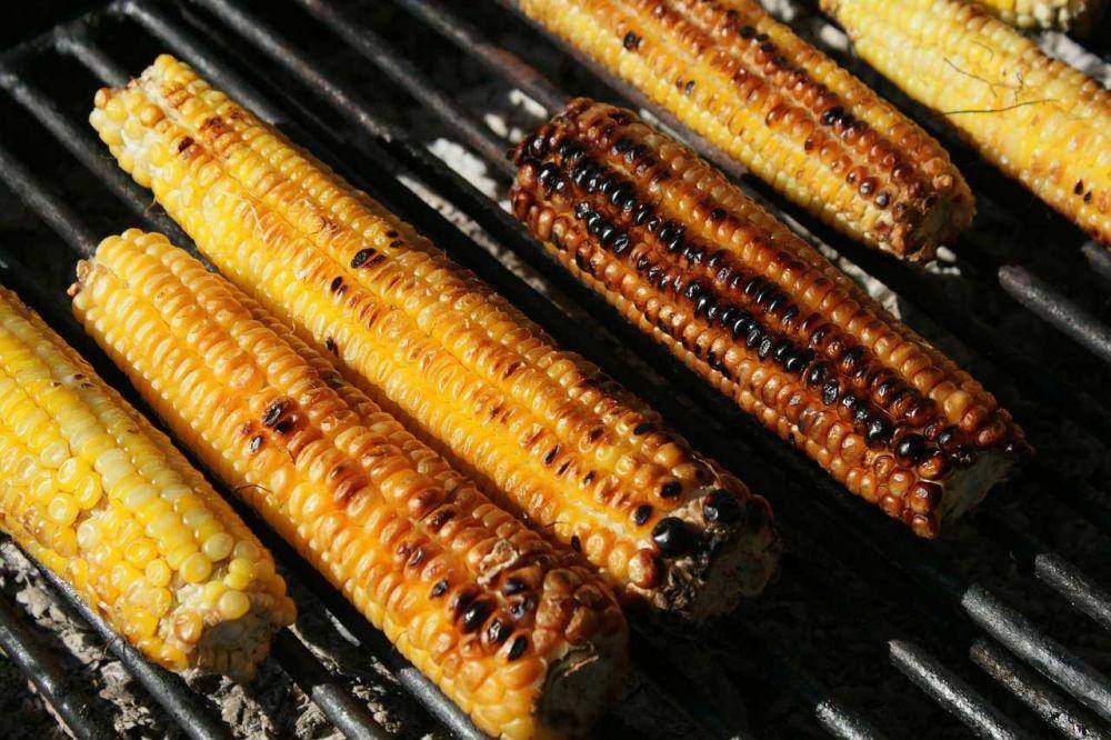 ilustrasi jagung bakar (pixabay/Emilian Robert Vicol)