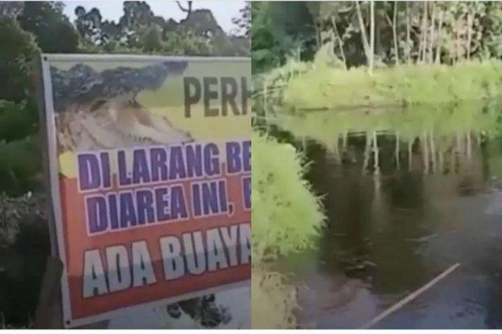 Pria diduga diterkam buaya/@jakartaviral
