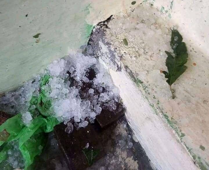 Video viral memperlihatkan hujan es disertai angin kencang terjadi di Pekon Betung Sukosari, Kecamatan Sekincau, Kabupaten Lampung Barat, Minggu (20/2/2022) sekitar pukul 16.00 WIB. (IDN Times/Istimewa)